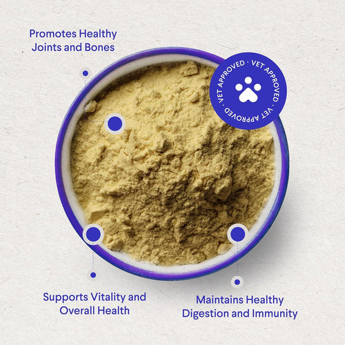 Vigewell™ — Turkey Tail Mushroom for Dogs Powerful Dogs Mushroom Powder Supplements