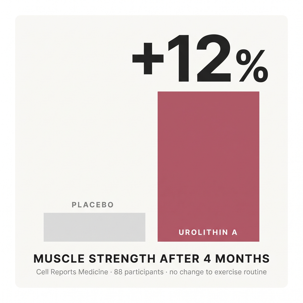 2. You Get 12% Stronger Without Changing Anything